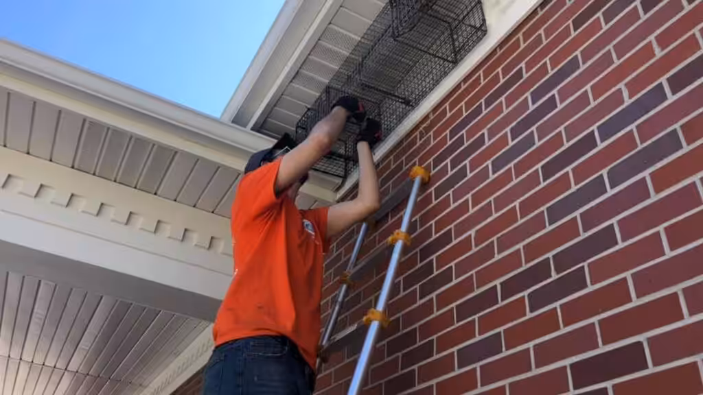 Wildlife control in Iowa done by Genuine Pest Control