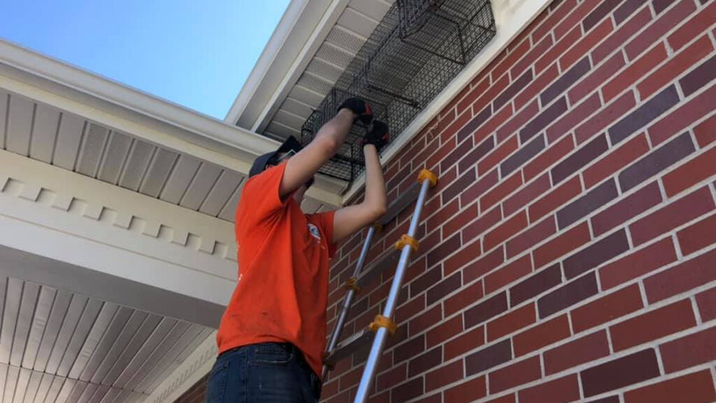 Wildlife control in Iowa done by Genuine Pest Control